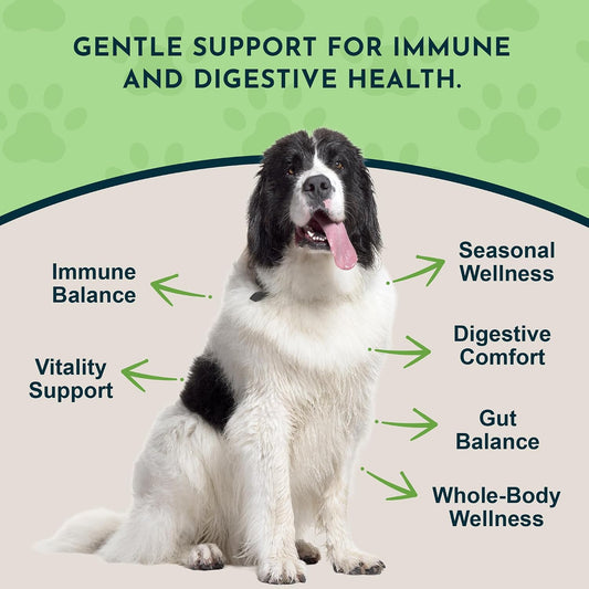 Animal Essentials Herbal Tonic Garlic Antioxidant Protection for Dogs & Cats - Dog Supplements & Vitamins 2