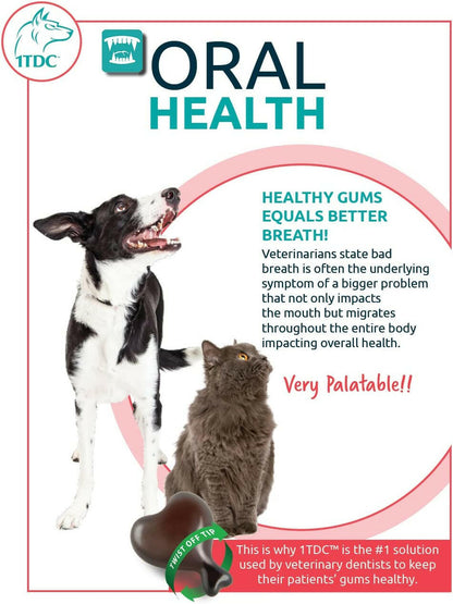 Support pet oral health with 1-tdc for dogs and cats