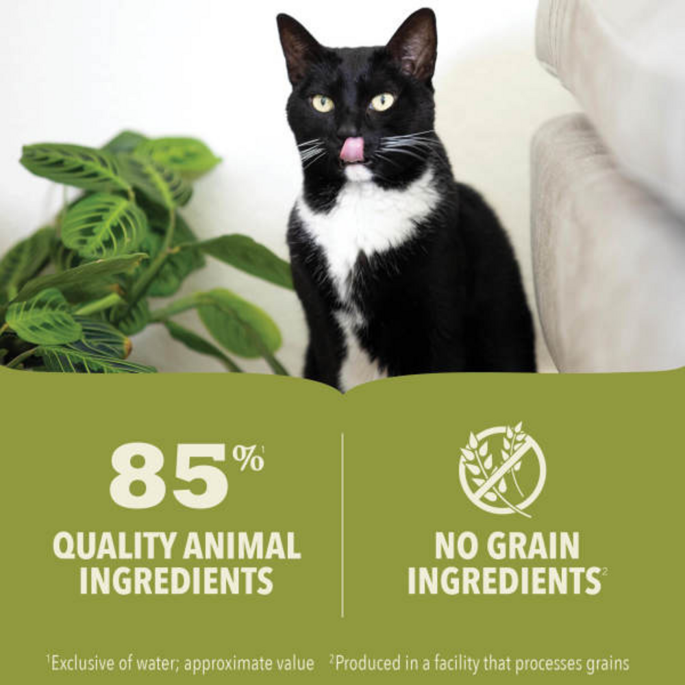 ACANA Lamb Lamb Liver in Bone Broth Wet Cat Food