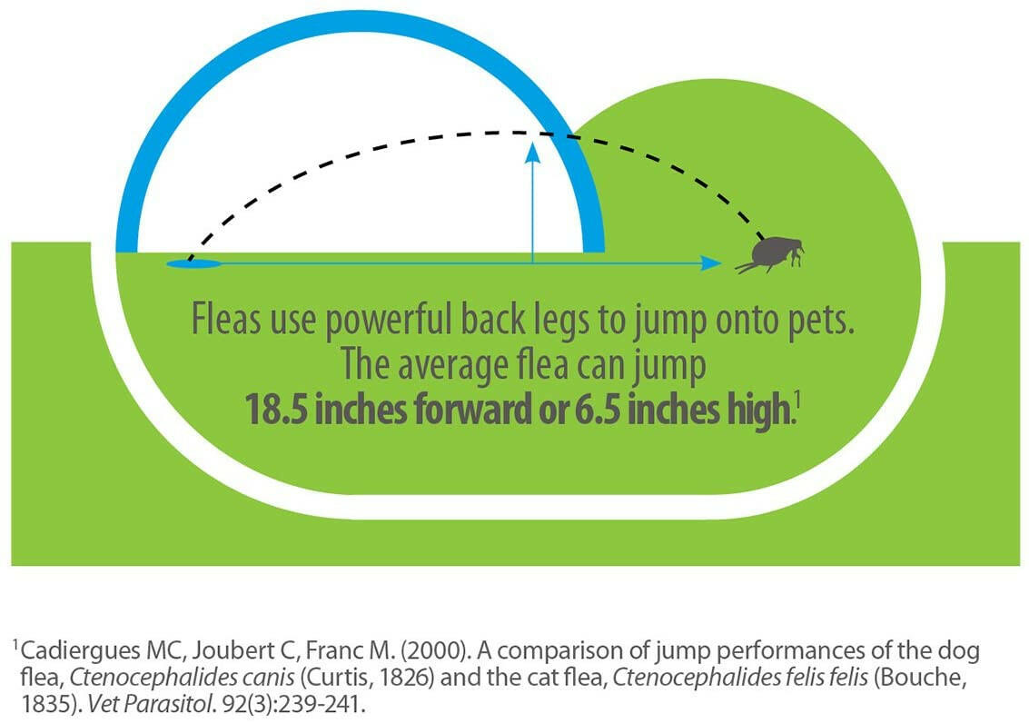 Advantage Flea & Tick Treatment Shampoo for Cats & Kittens (8 oz)