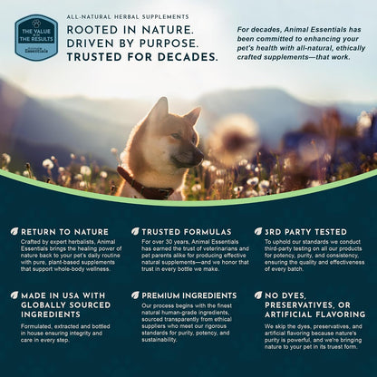 Animal Essentials Herbal Formula Healthy Gums for Dogs & Cats 1-oz - Dog Supplements & Vitamins 9