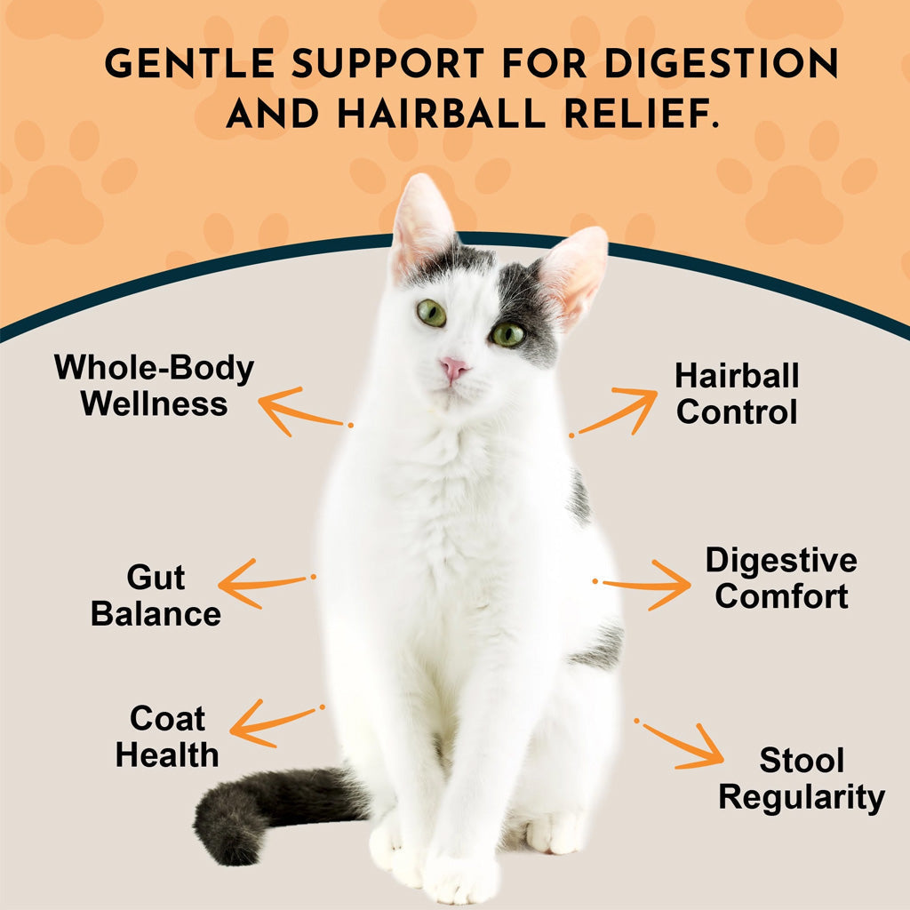 Animal Essentials Herbal Tonic Blend Hairball Relief Prevents & Removes Hairballs for Dogs & Cats - Dog Supplements &