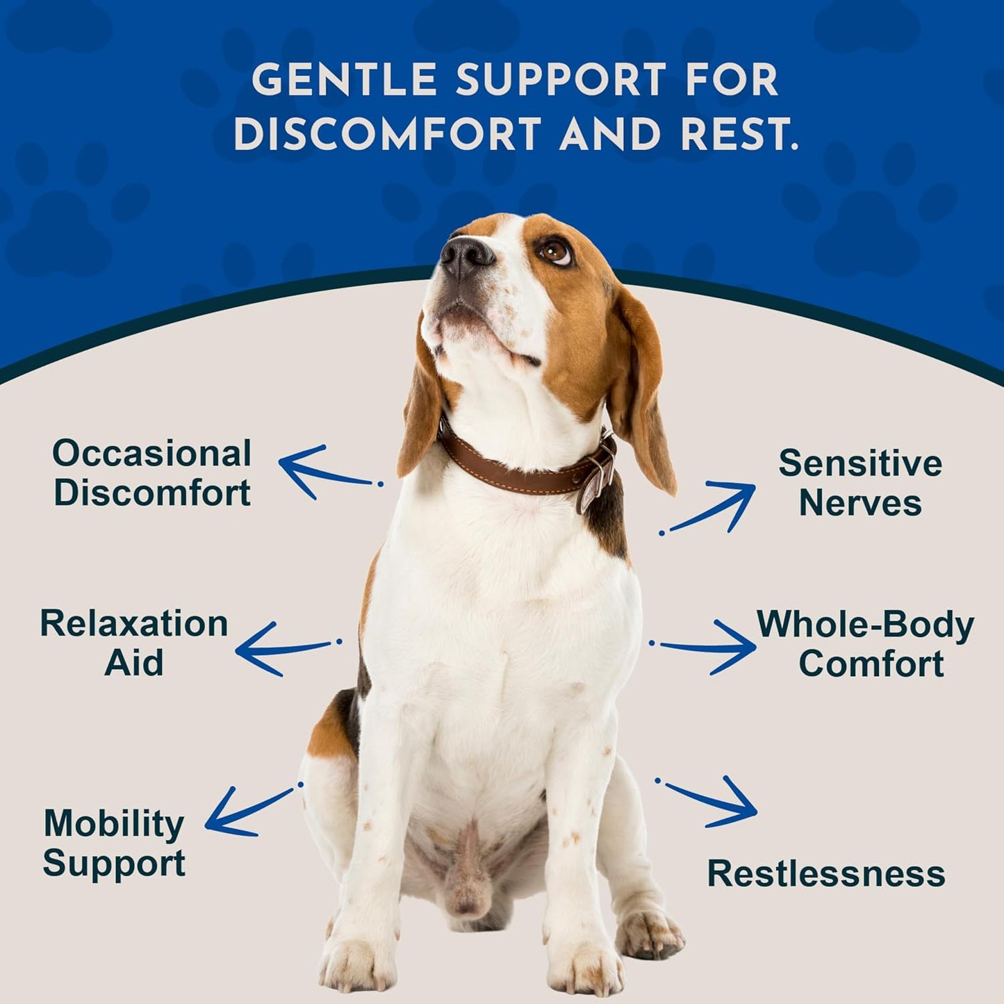 Animal Essentials Herbal Tonic Comfort Plus Manages Discomfort & Stress for Dogs & Cats - Dog Supplements & Vitamins 3