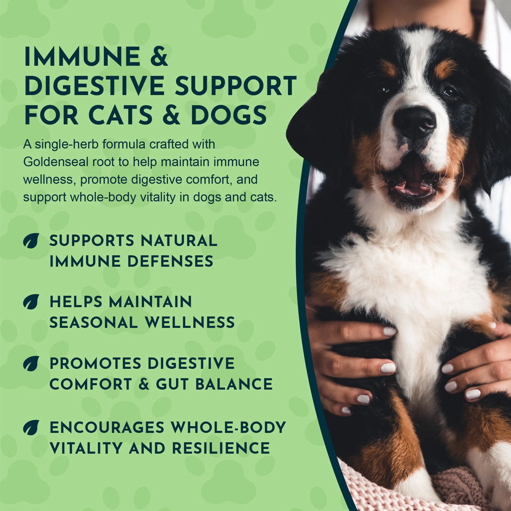 Animal Essentials Herbal Tonic Golden Seal Promotes Resistance to Pathogens for Dogs & Cats 1-oz - Dog Supplements &
