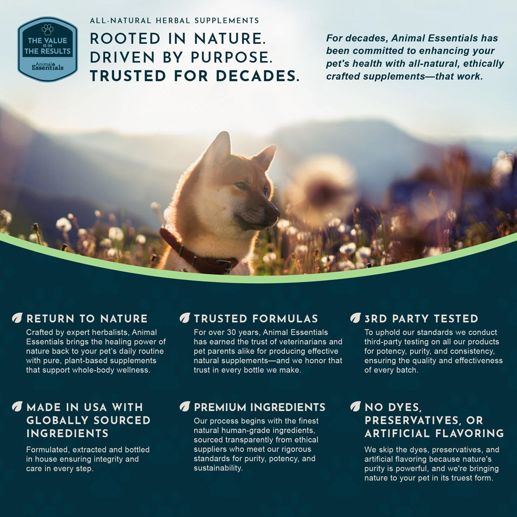 Animal Essentials Herbal Tonic Resist & Renew Boosts Immunity & Toxin Elimination for Dogs & Cats - Dog Supplements &