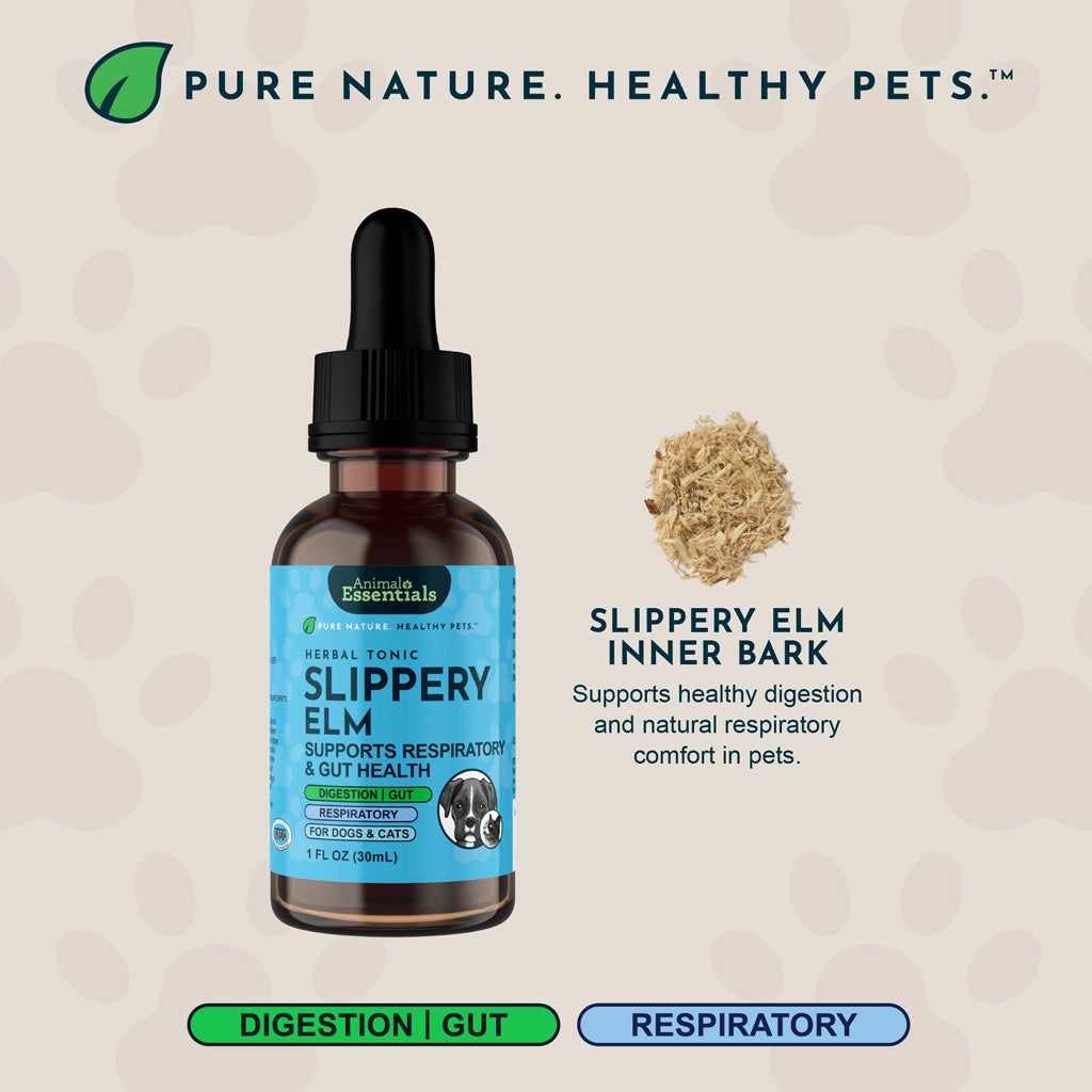 Animal Essentials Herbal Tonic Slippery Elm Supports Respiratory & Gut Health for Dogs & Cats - Dog Supplements &
