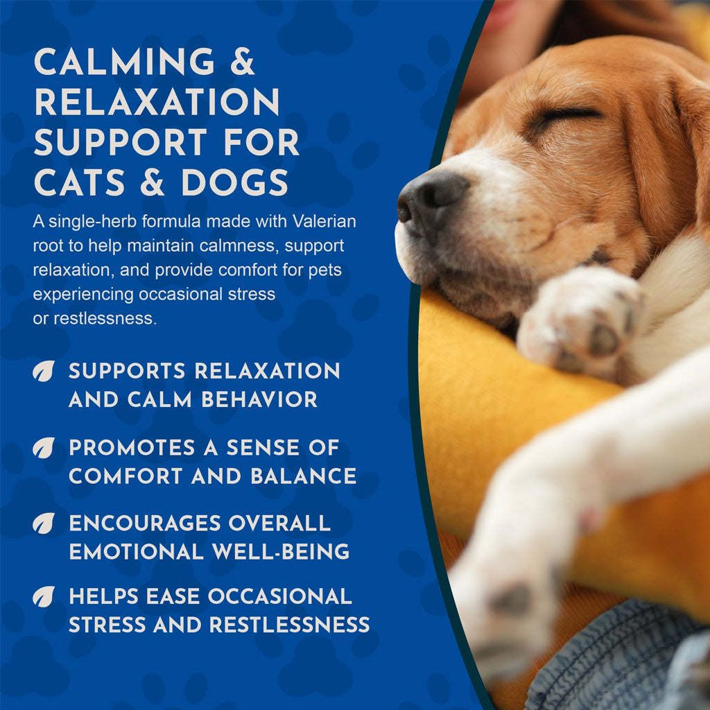 Animal Essentials Herbal Tonic Valerian Promotes Calm & Relaxation for Dogs & Cats - Dog Supplements & Vitamins 7