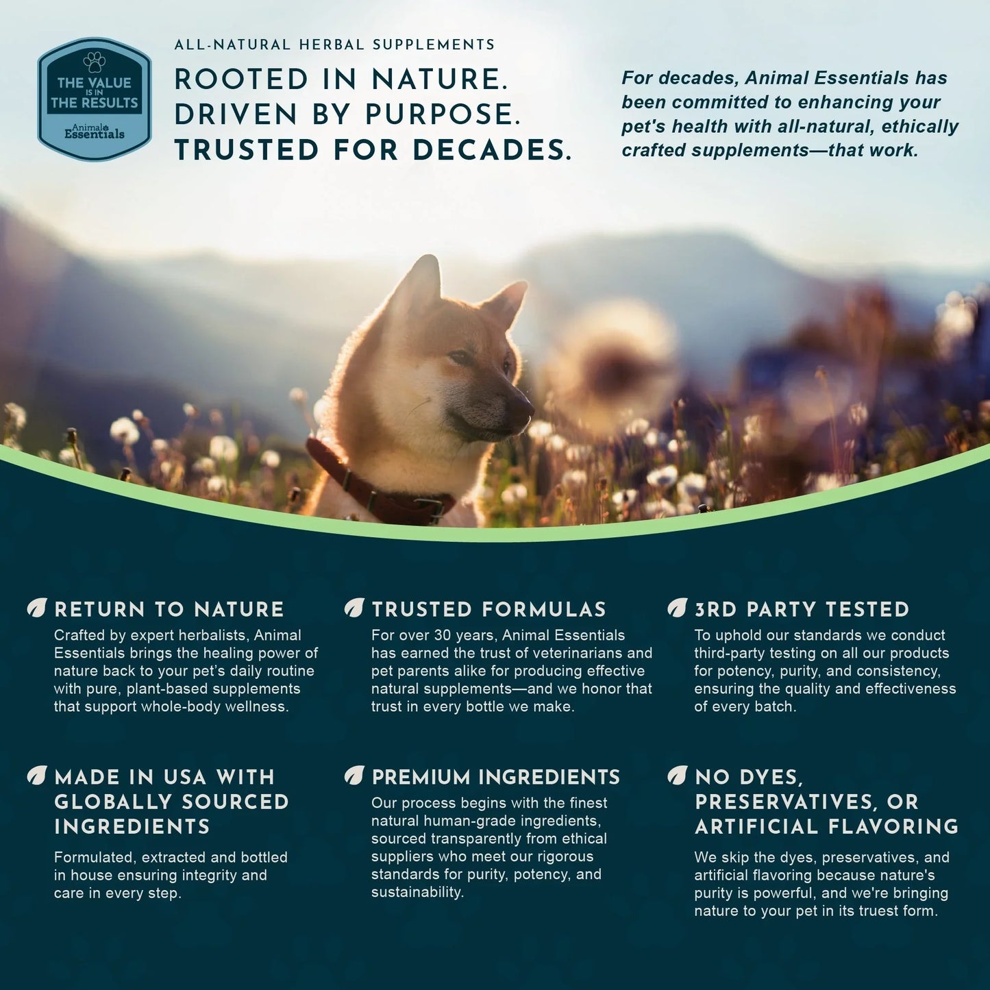 Animal Essentials Senior Support Herbal Tonic to Maintain Optimal Health for Dogs & Cats - Pet Vitamins & Supplements 5