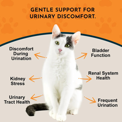 Animal Essentials Tinkle Tonic Herbal Tonic to Support Urinary Tracts System for Dogs & Cats - Urinary Tract 4