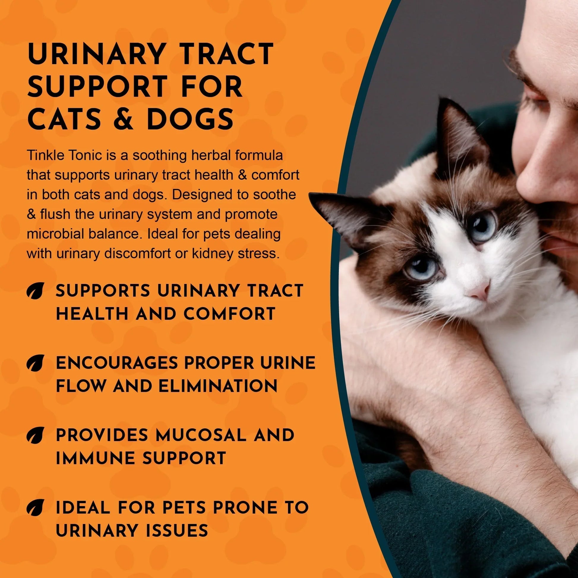Animal Essentials Tinkle Tonic Herbal Tonic to Support Urinary Tracts System for Dogs & Cats - Urinary Tract 6