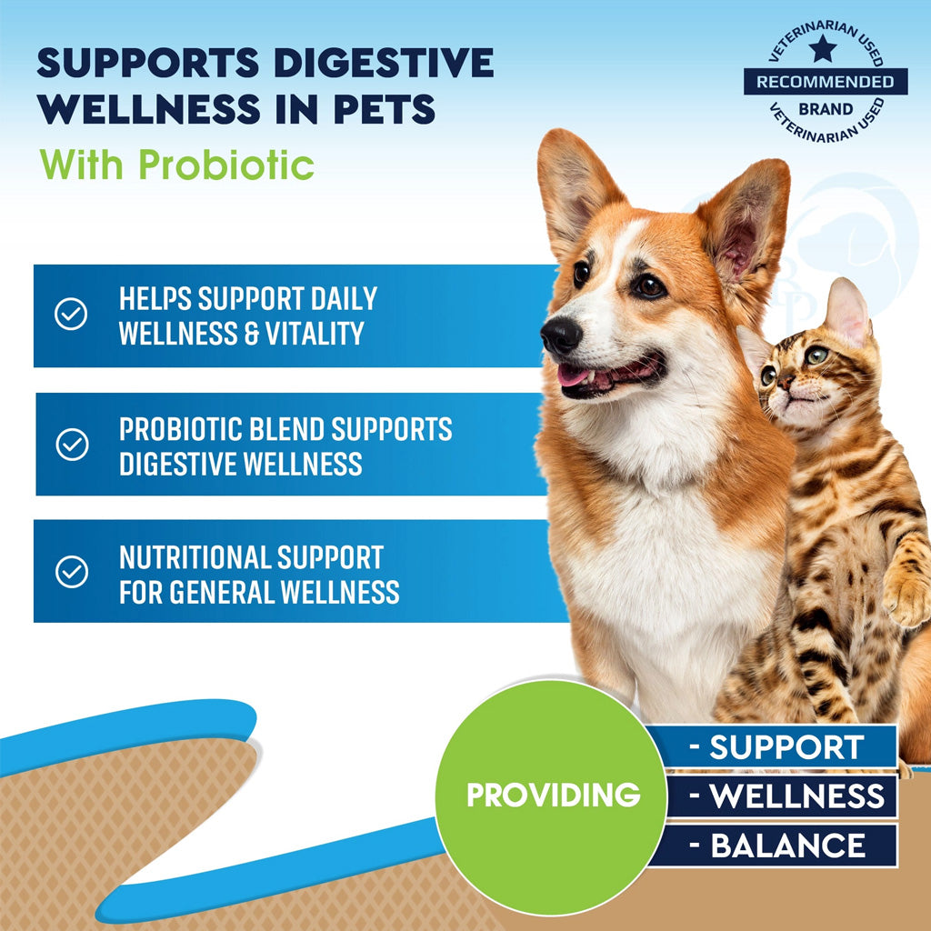 Beloved Pets Digestive Support with Probiotics for Dogs & Cats 2-oz - Digestive & Probiotic Supplements for Dogs 6