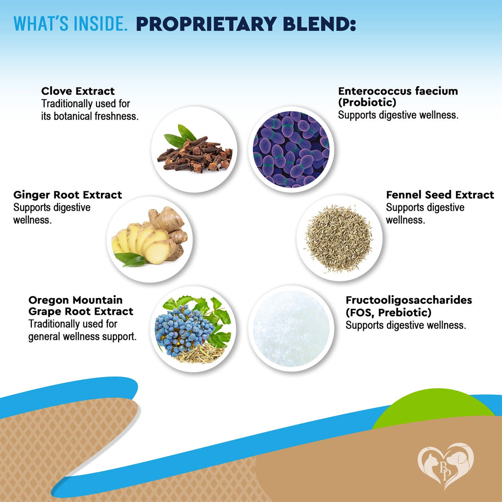 Beloved Pets Digestive Support with Probiotics for Dogs & Cats 2-oz - Digestive & Probiotic Supplements for Dogs 5