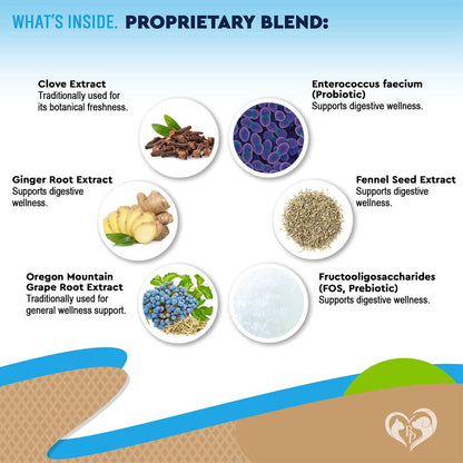 Beloved Pets Digestive Support with Probiotics for Dogs & Cats 2-oz - Digestive & Probiotic Supplements for Dogs 5