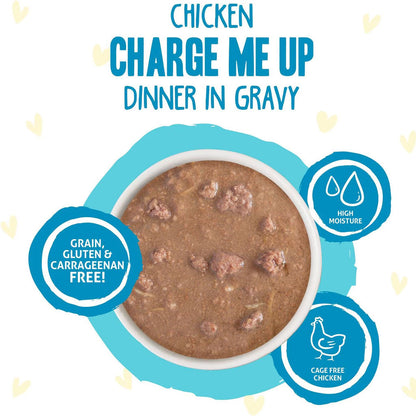 Cat food in a bowl with branding elements on a white background