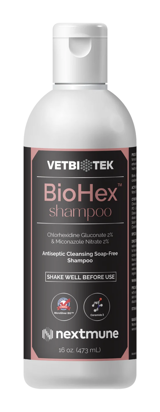 BioHex Hexazole Shampoo - 16 ounce - Dog Grooming 1