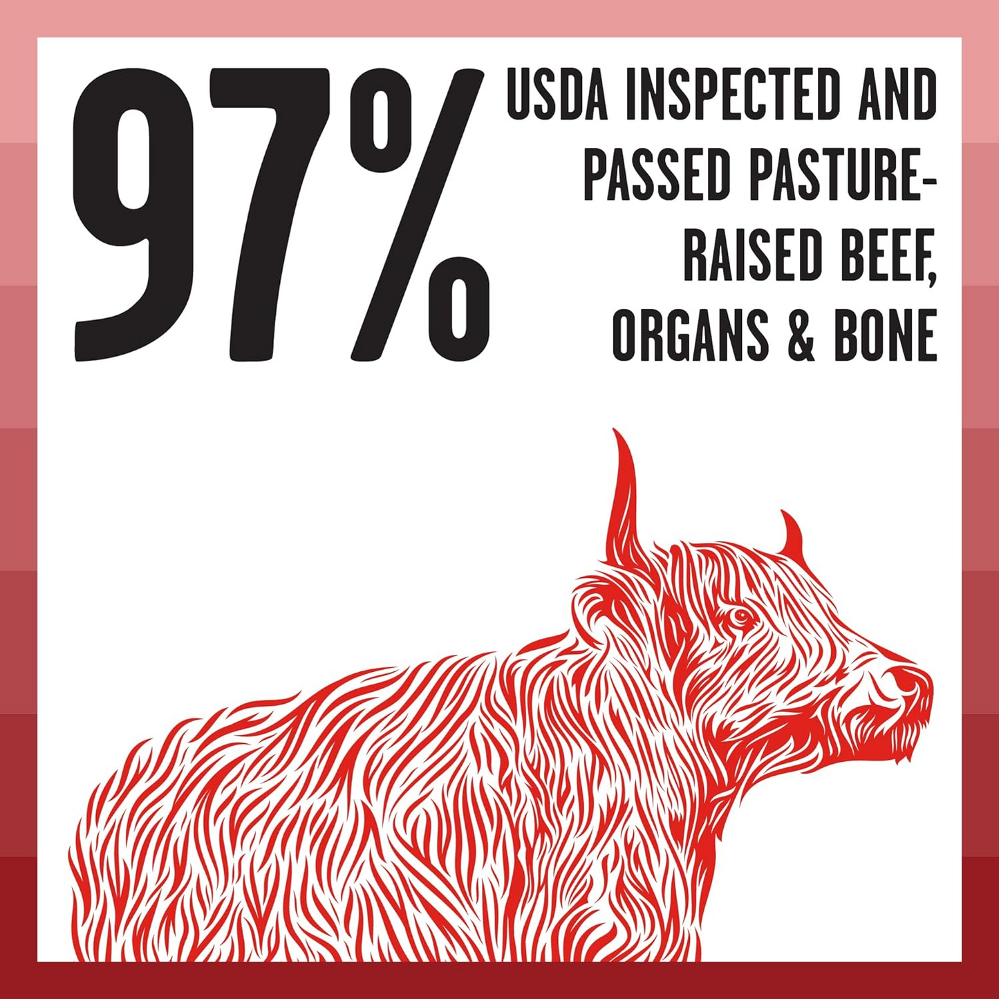 Bixbi Rawbble Freeze Dried Cat Food Beef Recipe - Cat Food 2