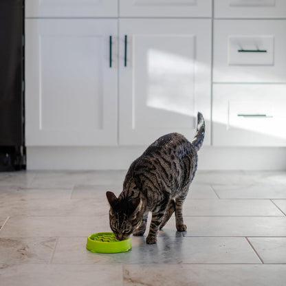 Catstages Kitty Slow Feeder-Green
