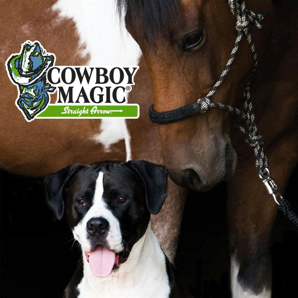 cowboy magic shine in yellowout shampoo 16oz dogs and horse
