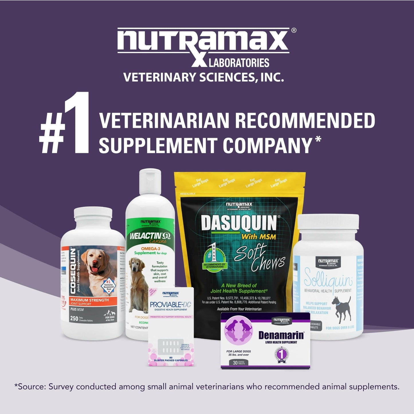 Denamarin for Cats and Small Dogs in a Bottle - Dog Supplements & Vitamins 9