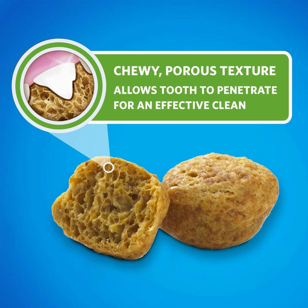 Texture of Purina DentaLife Savory Salmon Crunchy Bites Dental Cat Treats