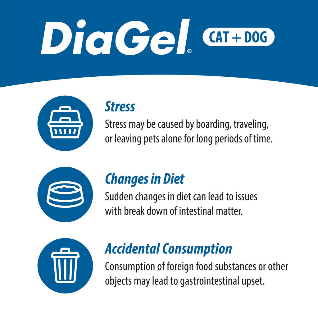 DiaGel Anti-Diarrheal Gel for Cats (1 ml) - Cat Digestive & Probiotics Supplements 7