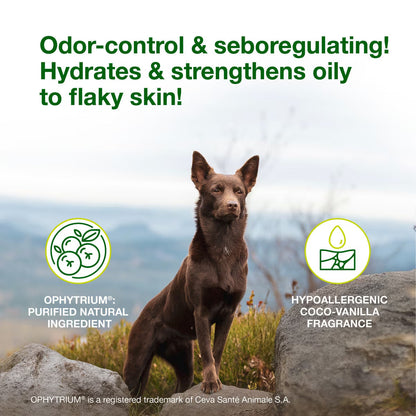 Douxo S3 SEB Odor-Control Seboregulating Dog & Cat Mousse (5.1 oz) - All Dog Grooming 3