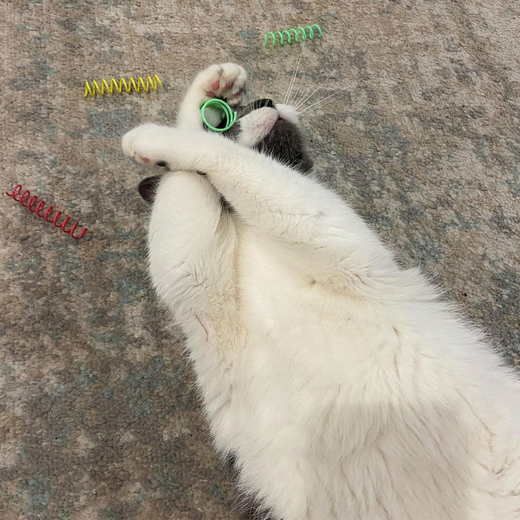 Ethical Pet Spot Colorful Springs Catnip Toy Thin, Assorted, 3"