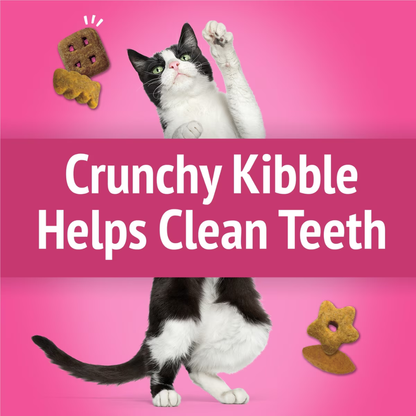 Friskies Party Mix California Crunch Cat Treats - Cat Treats 3
