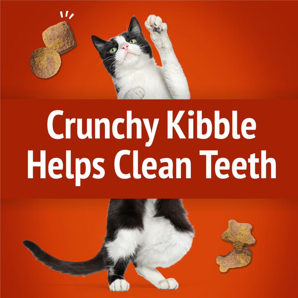 Friskies Party Mix Gravy-Licious Crunch Chicken & Gravy Cat Treats - Cat Treats 3