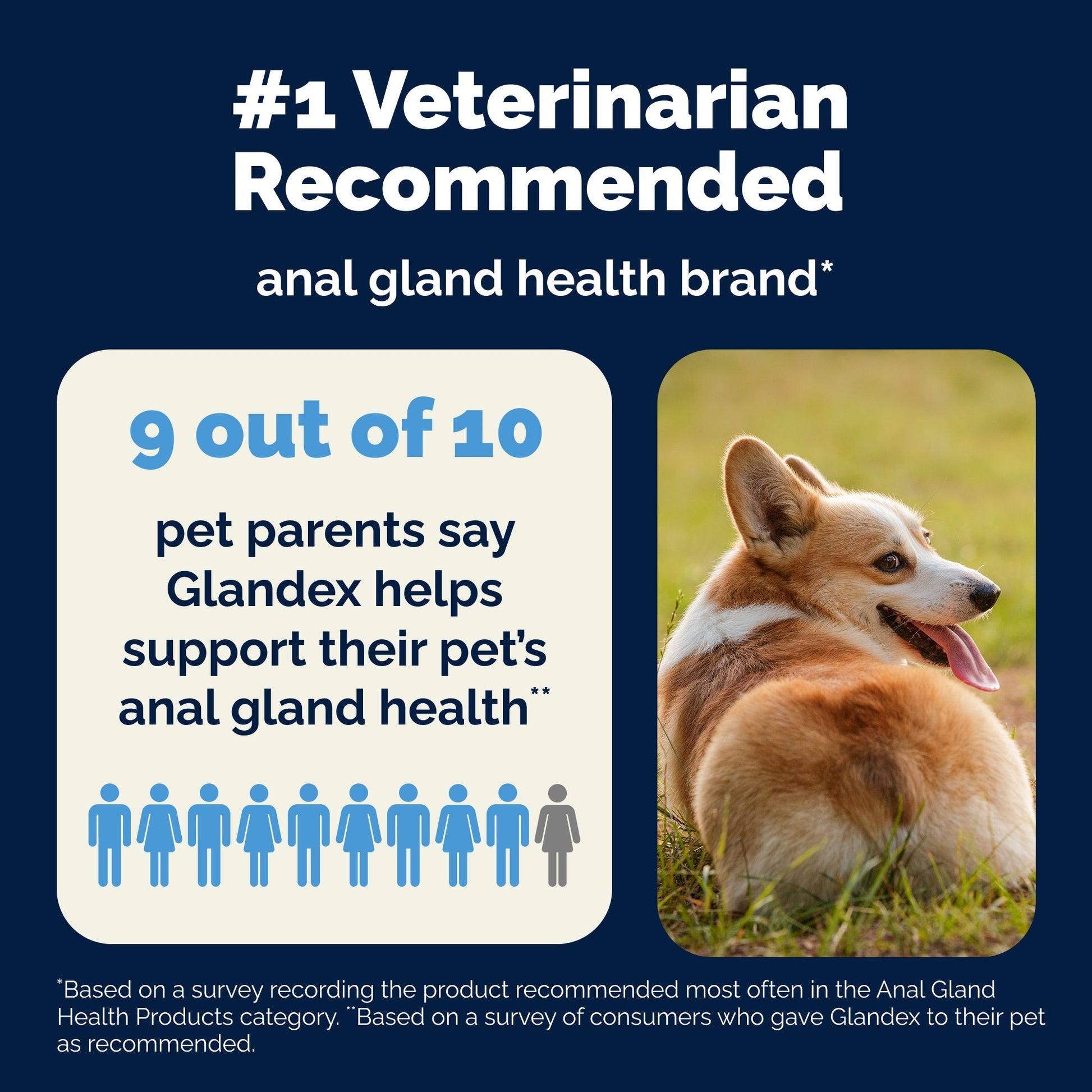 Glandex Anal Gland Support Bacon Flavored Soft Chews for Dogs - Dog Supplements & Vitamins 7
