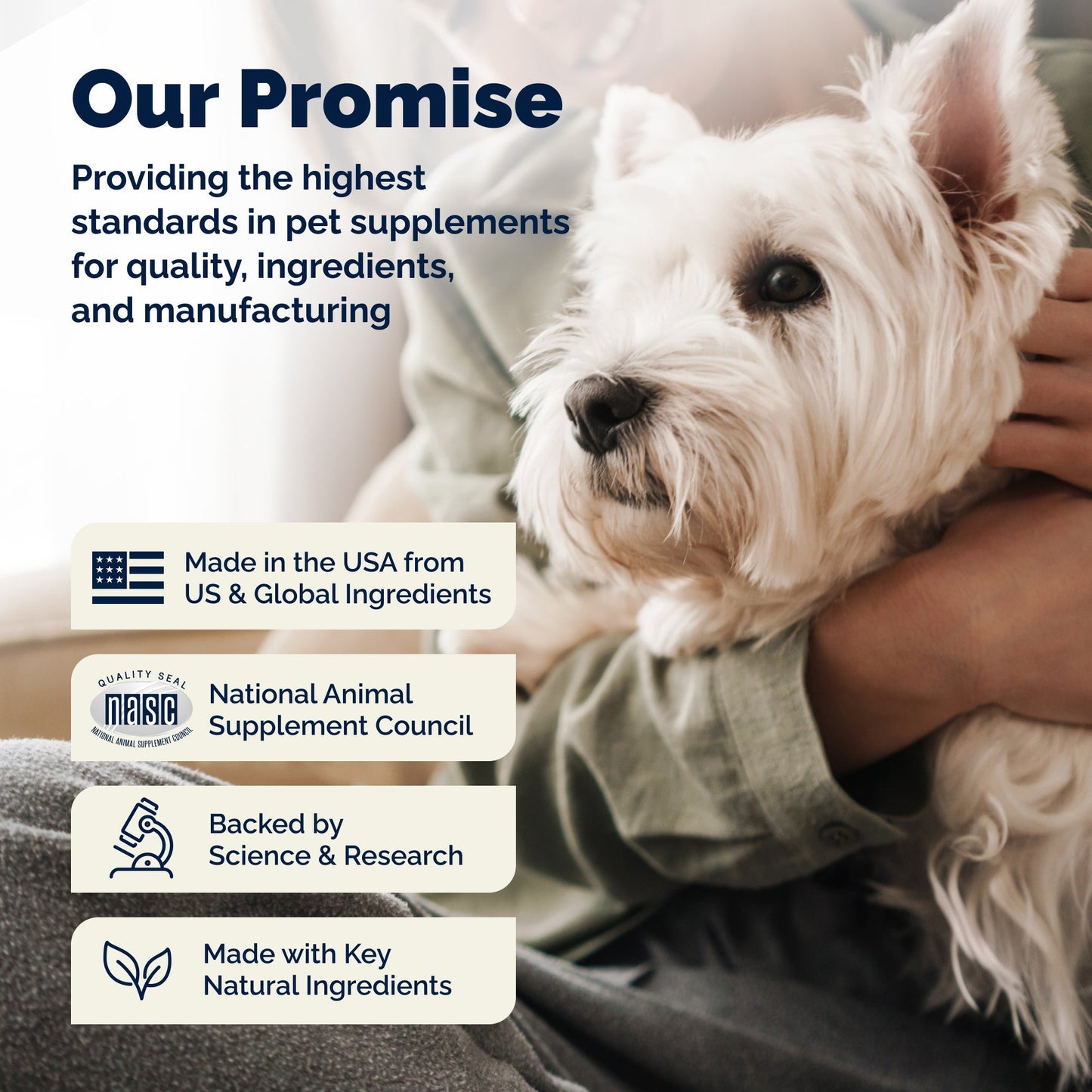 Glandex Anal Gland Support Bacon Flavored Soft Chews for Dogs - Dog Supplements & Vitamins 11