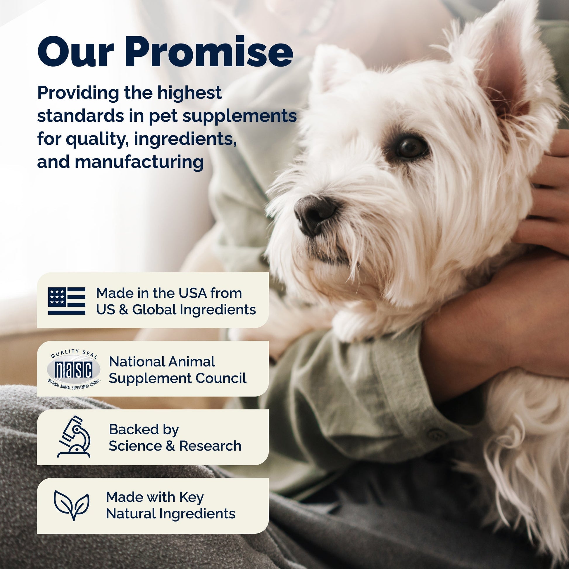 Glandex Anal Gland Support Bacon Flavored Soft Chews for Dogs - Dog Supplements & Vitamins 11