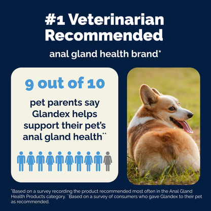Glandex Anal Gland Support Bacon Flavored Soft Chews for Dogs - Dog Supplements & Vitamins 7