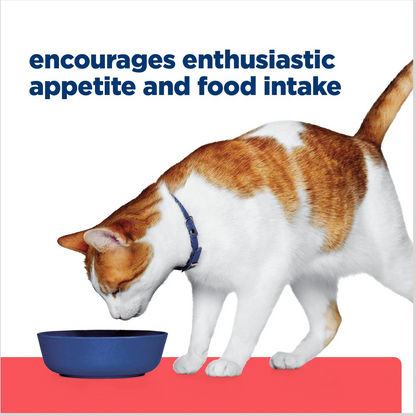 Hill's Prescription Diet ONC Care Chicken & Vegetable Stew Cat Food, 2.9 oz can