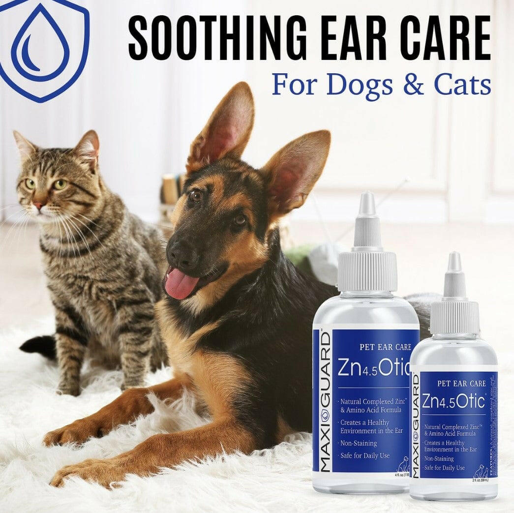 MAXI/GUARD Zn4.5 Otic Natural Ear Care Solution with Complexed Zinc - Dog Ear Care 7