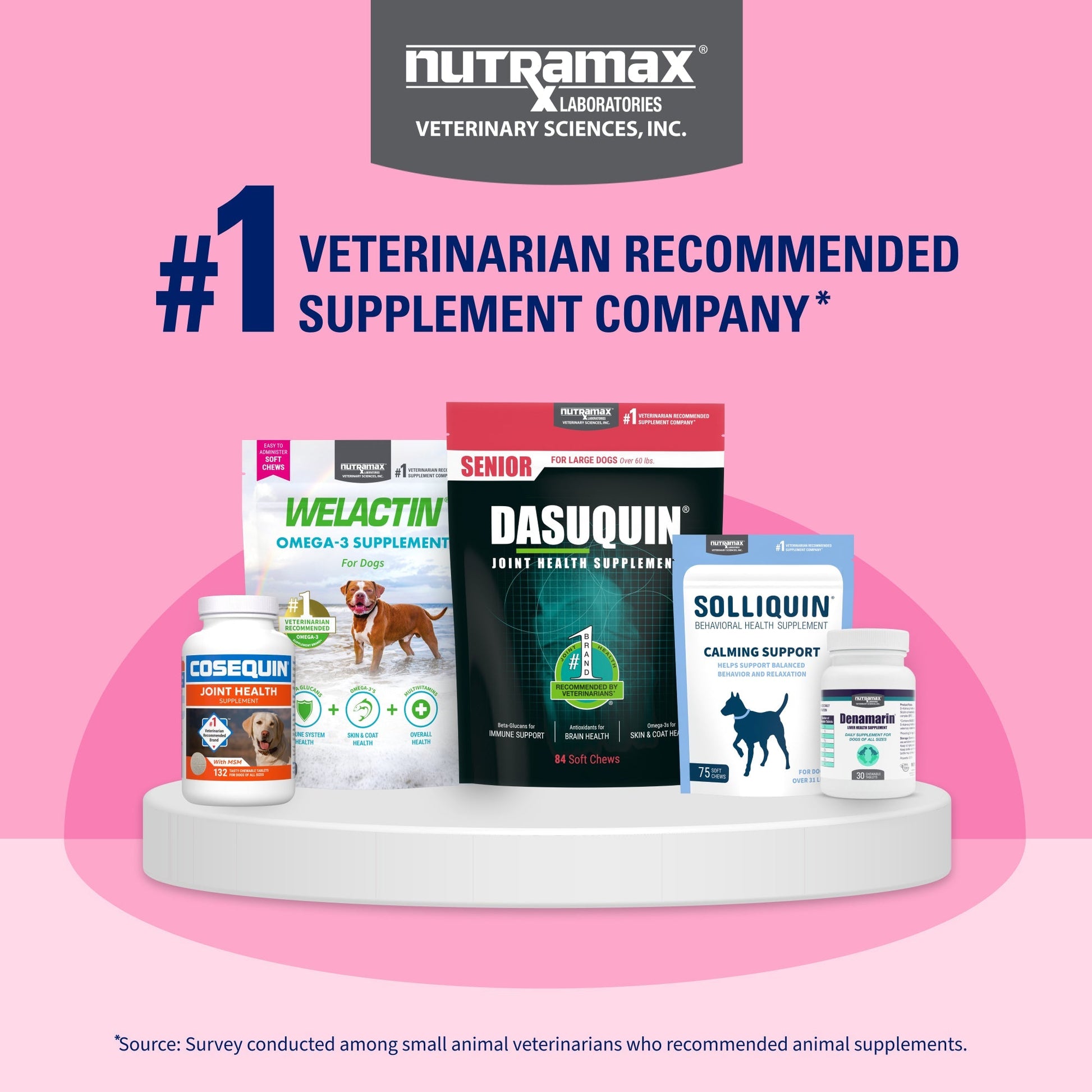 Nutramax Proviable-DC Digestive Health Supplement - Probiotics for Dogs & Cats - Dog Supplements & Vitamins 11