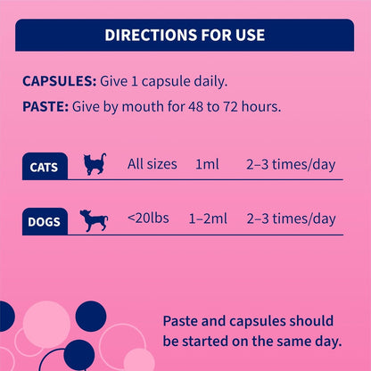 Nutramax Proviable Digestive Health Supplement Kit for Cats And Dogs
