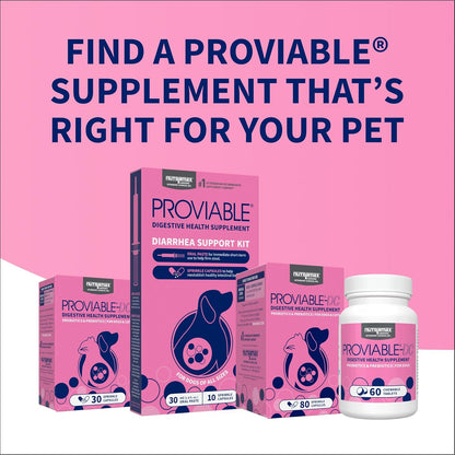 Nutramax Proviable Digestive Health Supplement Kit for Cats And Dogs