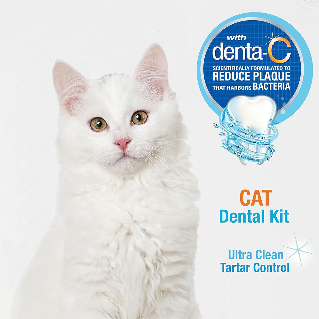 Nylabone Advanced Oral Care Original Flavor Cat Dental Kit
