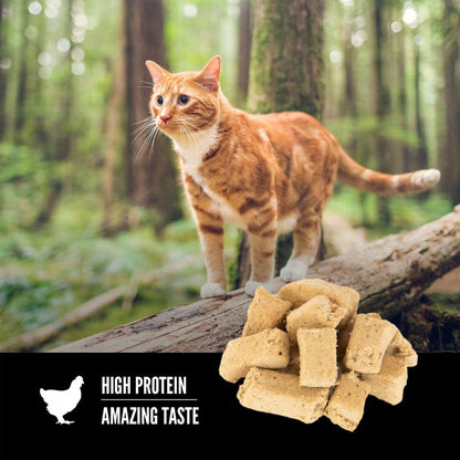 ORIJEN Original Freeze Dried Grain-Free High-Protein Raw Animal Ingredients Cat Treats, 1.25-oz bag