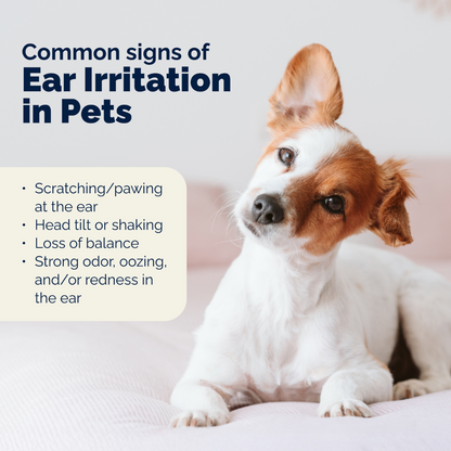 sign of ear irritation in dogs