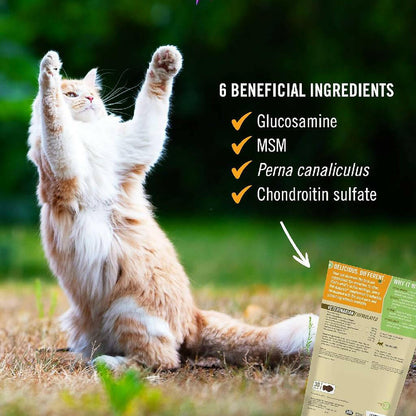 Pet Naturals Hip + Joint Chews for Cats (30 count)