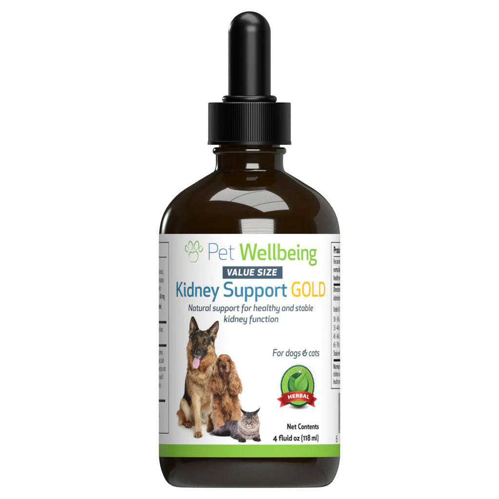 Pet Wellbeing Kidney Support Gold for Dogs & Cats - Cat Supplements & Vitamins 2