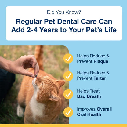 ProDen PlaqueOff Holistic Soft Bites Oral Care Sweet Potato & Chicken Flavor Dental Cat Treats 3-oz - Cat Treats 3