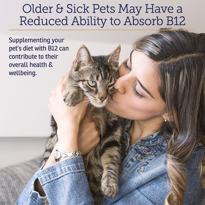 Rx Vitamins Rx B12 Liquid Digestive Supplement For Dogs and Cats (4 oz) - Dog & Cat Supplements & Vitamins 4