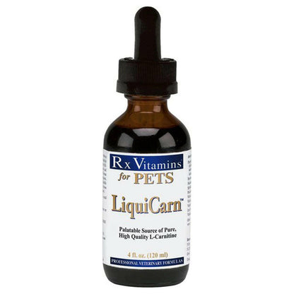 Rx Vitamins LiquiCarn Liquid Heart Supplement for Dogs and Cats (4 oz)