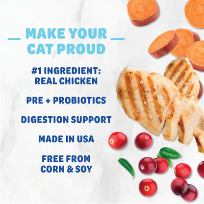Shameless Pets Cran You Say Chicken Crunchy Treats For Cats (2.5 oz)