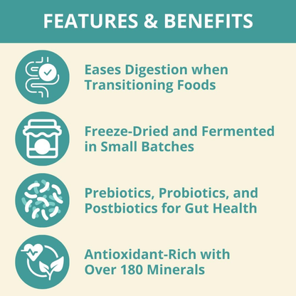 Steve’s Real Food Lamb Protein Bites Gut Boosting Bites for Cats & Dogs (4 oz) - Cat Food 3