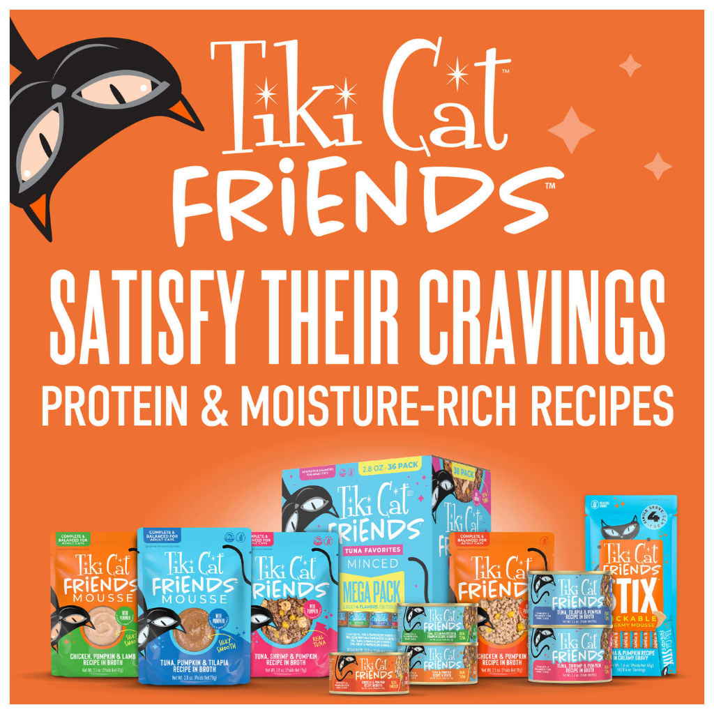 Tiki Cat Friends Stix Chicken & Pumpkin Recipe in Creamy Gravy Lickable Cat Treats (0.4 oz x 4 servings) - Cat Treats 10