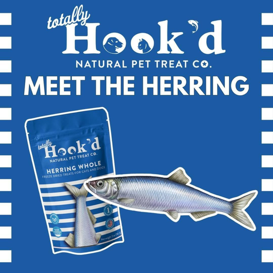 Totally Hook’d Freeze-Dried Herring Dog & Cat Treats (2 oz) - Dog & Cat Treats 2